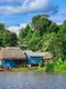 trib, foto Shutterstock jpg
