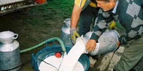 Satu Mare: Revista presei locale