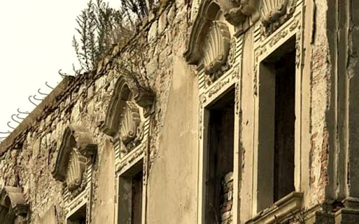 catselul haller cluj