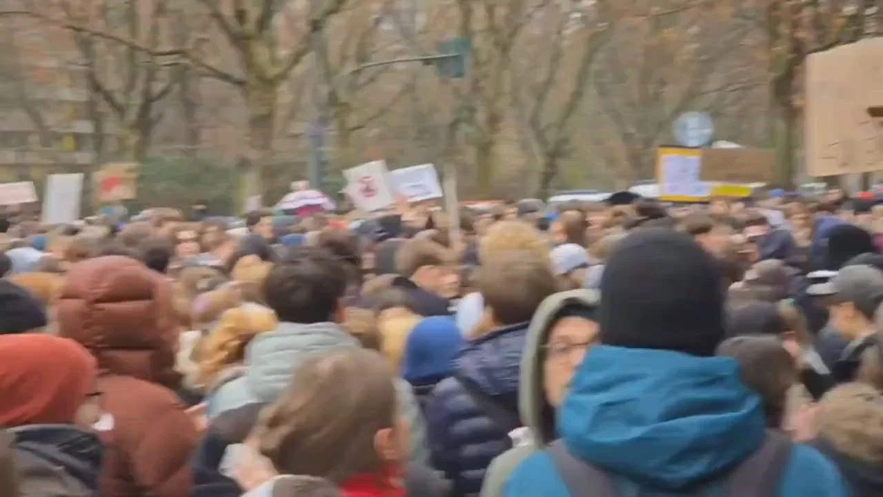 Reforma armatei în Germania scoate tinerii în stradă. Elevii au participat la manifestații în toată țara împotriva serviciului militar