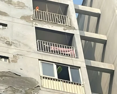 HATGabla0AEl9Dl jfif