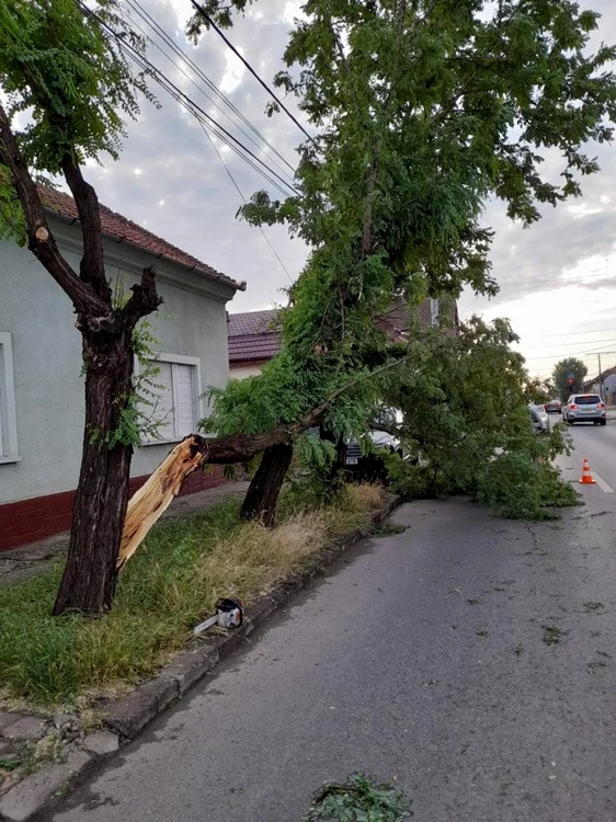 Furtună puternică în Timiş FOTO Facebook/Severe Weather Alert România