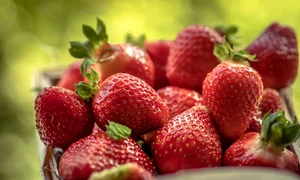 1 strawberry 2506001 1280 jpg jpeg