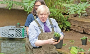 2014  Primarul Londrei îngrijește plantele de lotus de la Grădina Botanică jpeg