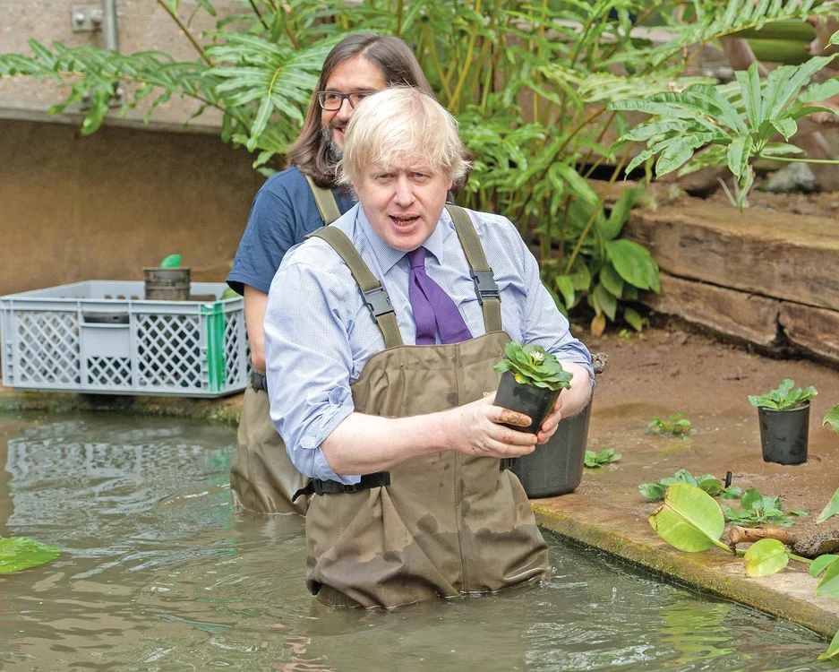 2014 Primarul Londrei îngrijește plantele de lotus de la Grădina Botanică