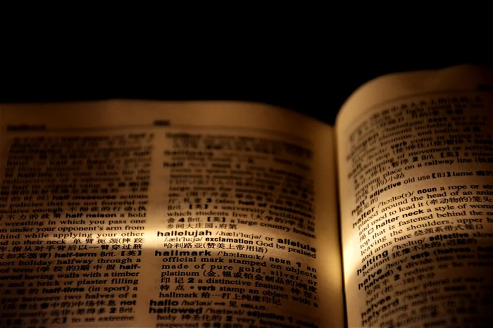 Cele 10 expresii românești care au rezistat în timp / FOTO: Pixabay