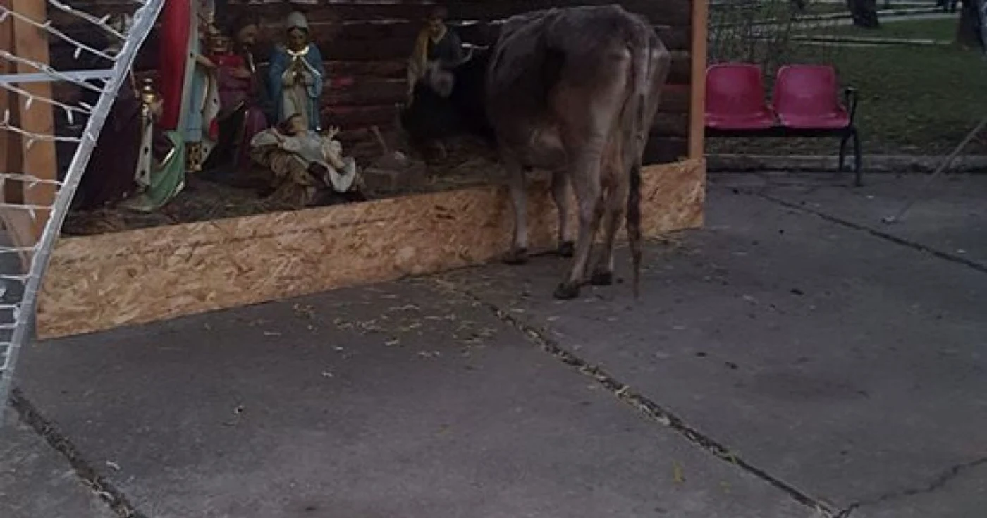 FOTO Ionuţ Dinu - Facebook