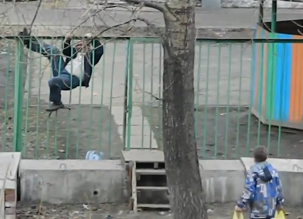 Matolul care a vrut să cucerească un gard
