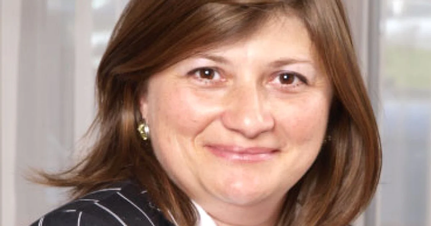 Creştere economică uşoară, din 2011