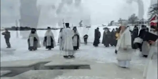 dodon gif gif