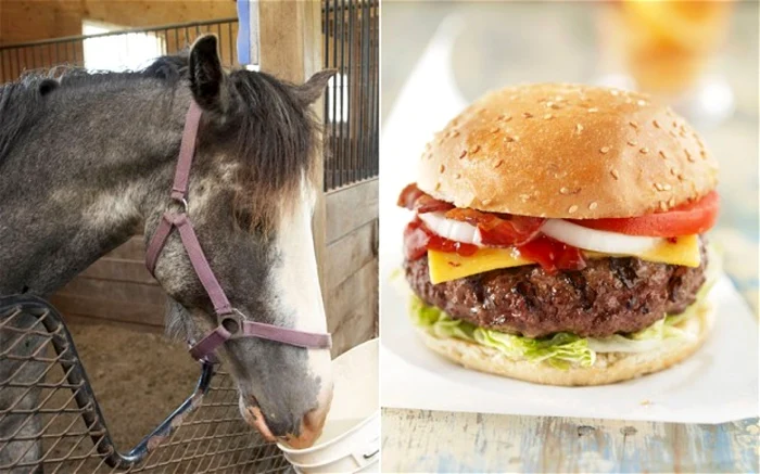 Scandalul a izbucnit după ce în Marea Britanie s-au descoperit hamburgeri care conţineau carne de cal FOTO Alamy