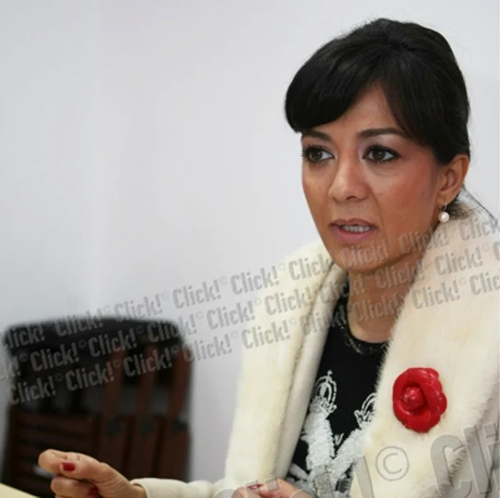 
    Oana Niculesscu-Mizil. (Foto Click!)  