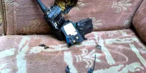 WhatsApp Image 2024 11 29 at 21 06 39 jpeg