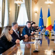 Anamaria Gavrila - POT, consultări la Cotroceni 