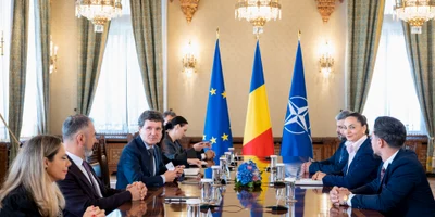 Anamaria Gavrila - POT, consultări la Cotroceni 