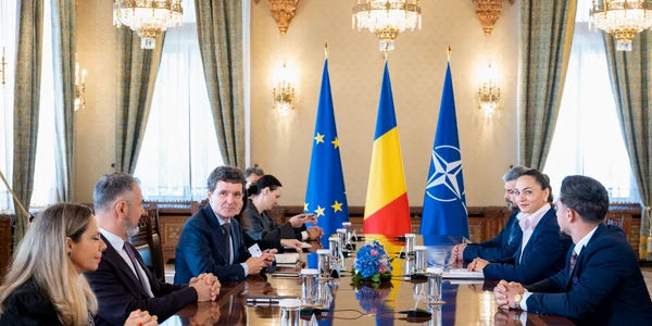 Anamaria Gavrila - POT, consultări la Cotroceni 