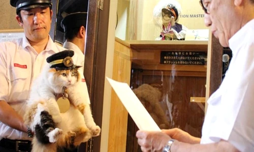 1 64413 original jpg jpeg