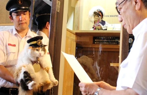 1 64413 original jpg jpeg