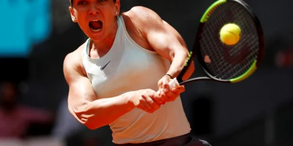Halep