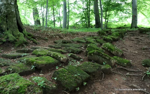 cetatea dacica piatra rosie foto daniel guta adevarul