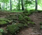 cetatea dacica piatra rosie foto daniel guta adevarul