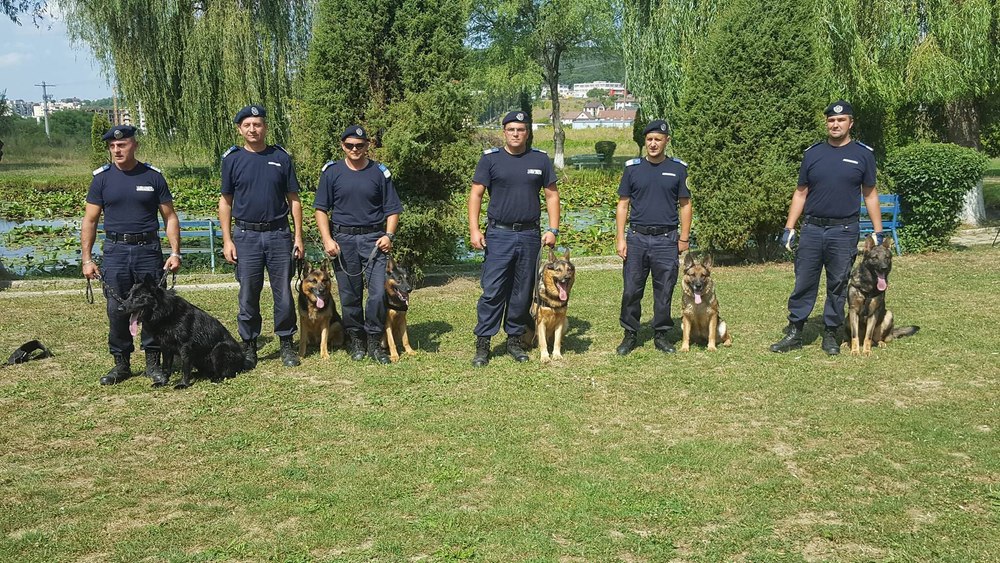  El este Luc, câinele specializat în detectarea urmelor de la Jandarmeria Română, care iese la pensie și își caută un nou cămin