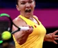 Fed Cup Franţa România partida dintre Kristina Mladenovici şi Simona Halep FOTO EPA/EFE / Christophe Petit Tesson