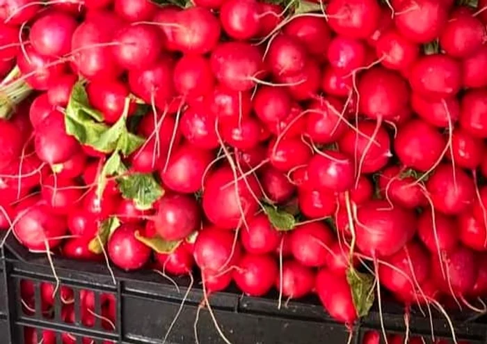 Ridichile de toamnă sunt gata de consumat. FOTO Magda Cristian
