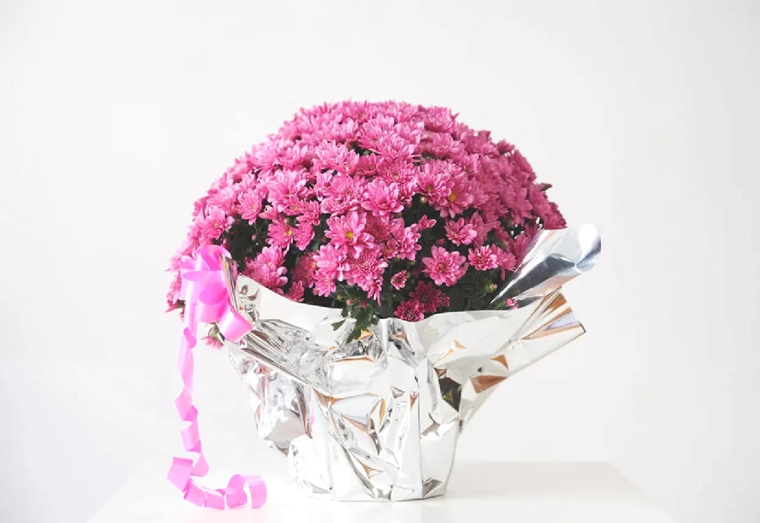 Ghiveci de flori cu folie de aluminiu pentru plante sănătoase Foto Gardening Know How