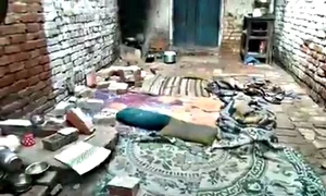 Animalele au dărâmat  un perete și au ucis 5 oameni jpeg