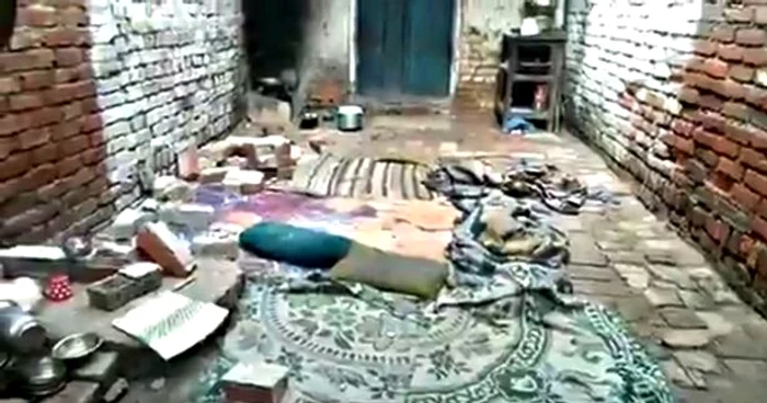 Animalele au dărâmat un perete și au ucis 5 oameni