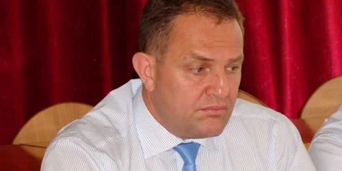 Liviu Andrei a fost găsit vinovat de plagiat