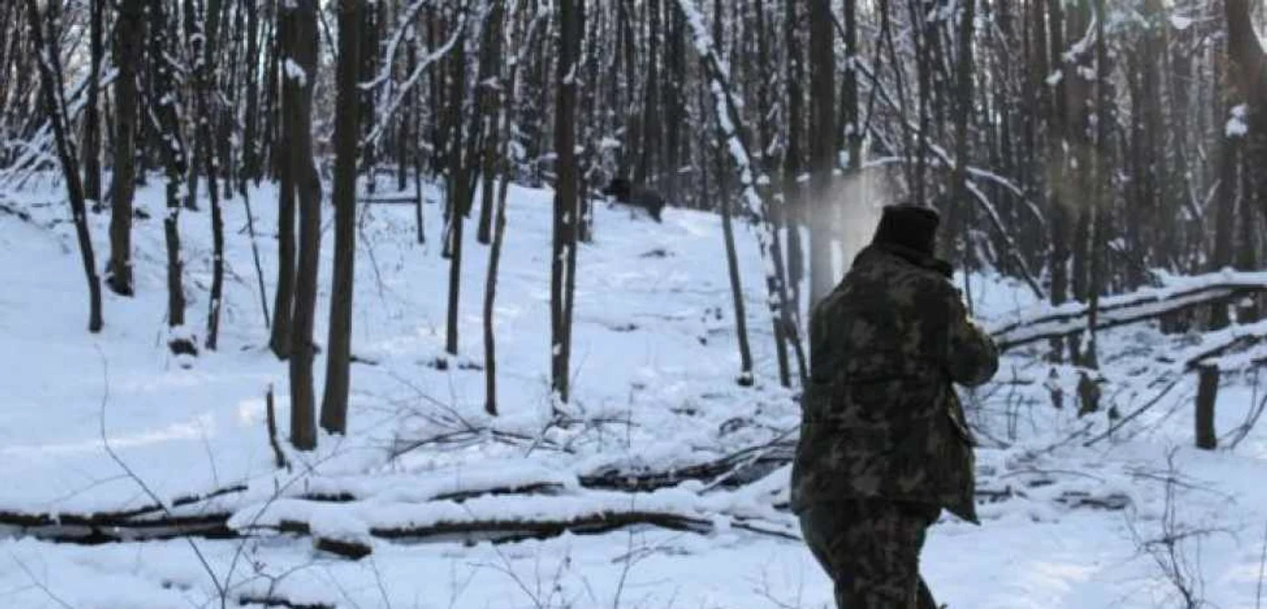 Ancheta a scos la iveală că vânător a tras foarte aproape de animal