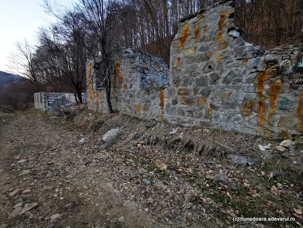 valea arsului foto daniel guta adevarul