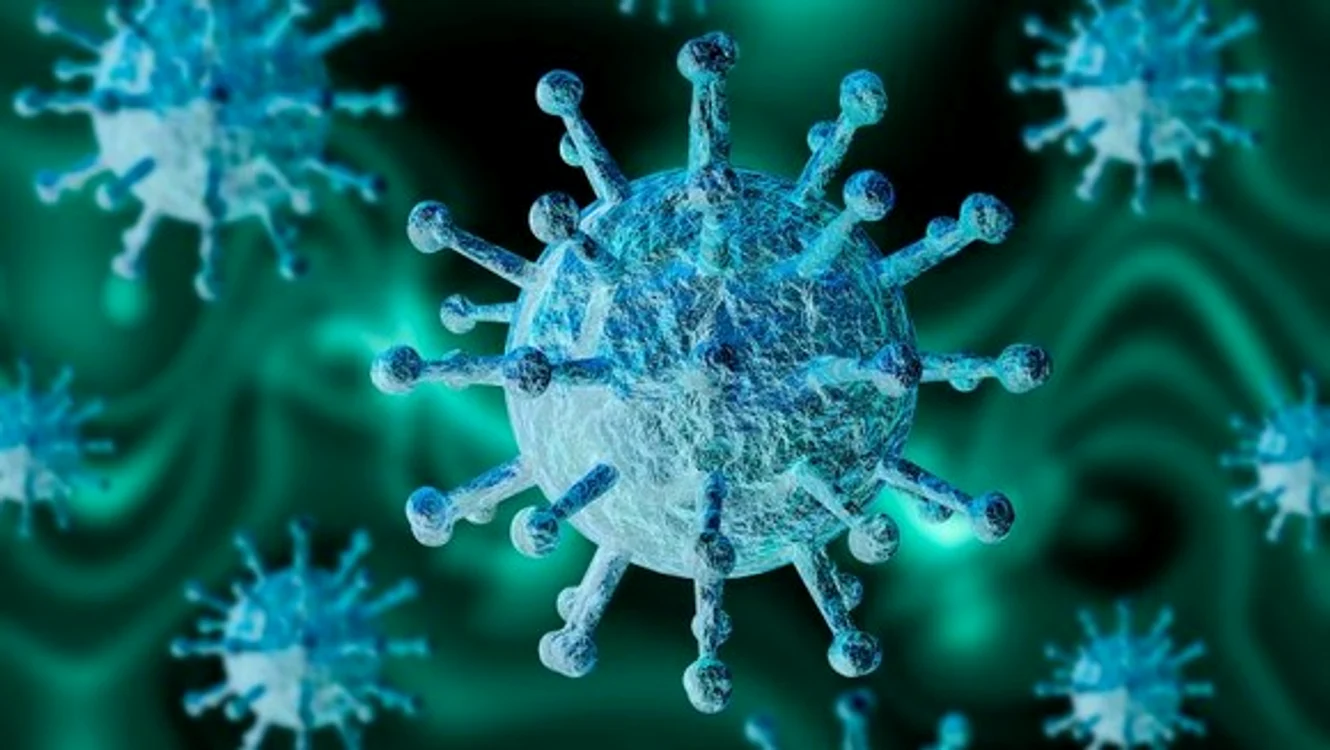 
    Brazilia. Numărul deceselor provocate de coronavirus a depășit numărul de 13.000  