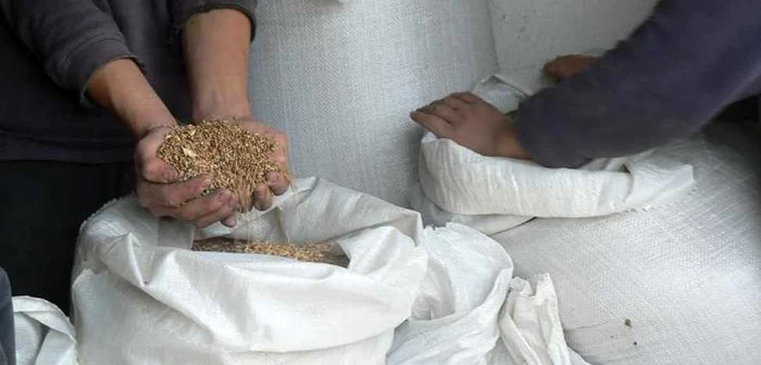 Grâul şi maşinile în care era încârcat au fost confiscate