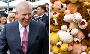 Printul Andrew si ursuletii jpg