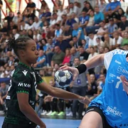 CSM Bucuresti Facebook png