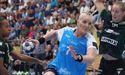 CSM Bucuresti Facebook png