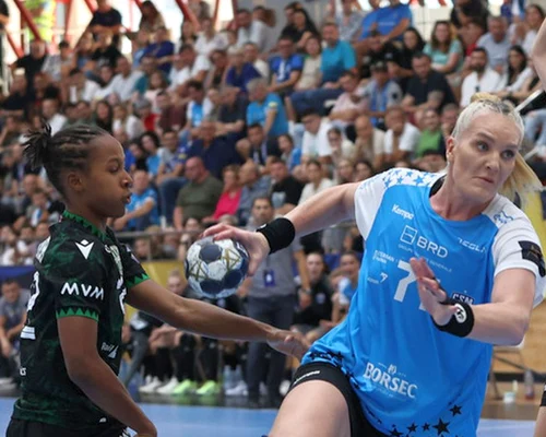 CSM Bucuresti Facebook png