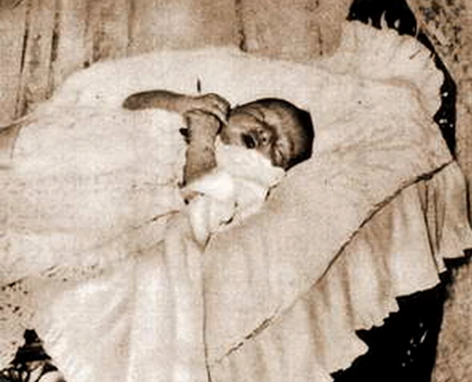 Fuad II of Egypt 1952 jpg jpeg