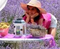 Lavanda 3 jpg