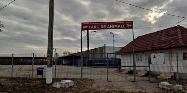 targu jiu