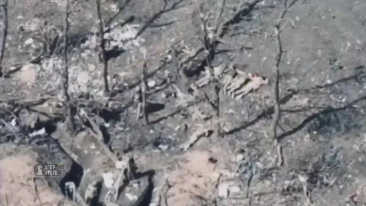 Imagini șocante cu momentul în care cinci prizonieri de război ucraineni sunt executați de un soldat rus