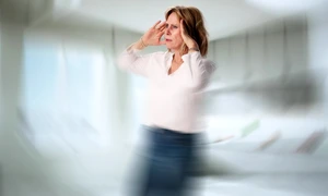 shutterstock 2666455117 jpg