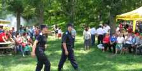 Jandarmii giurgiuveni au aplicat amenzi în valoare de 24.000 de lei