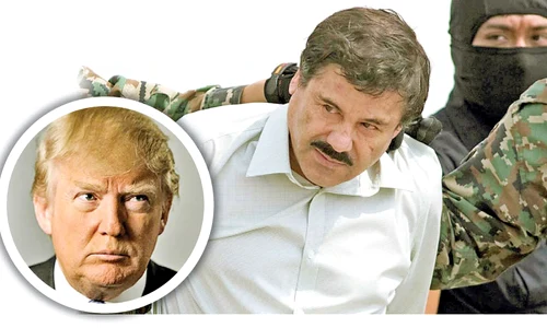 mafiot recompensa trump jpeg