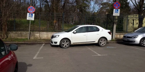 Parcare de bizon în Timişoara