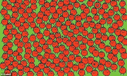 test jpg