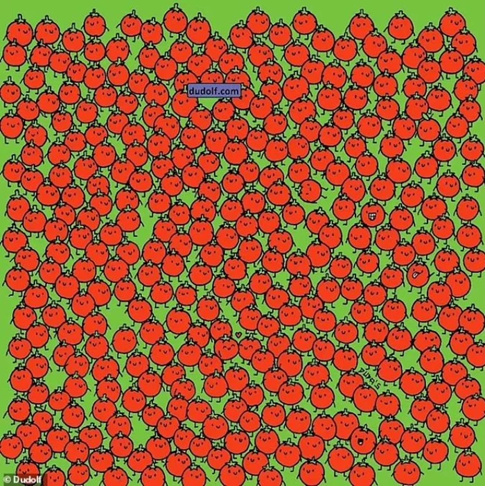 Trei mere sunt ascunse printre tomate / foto: Dudolf